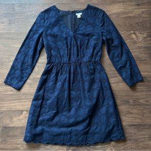 J Crew V Neck Long Sleeve Dress